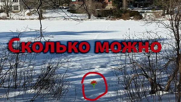 Сколько можно