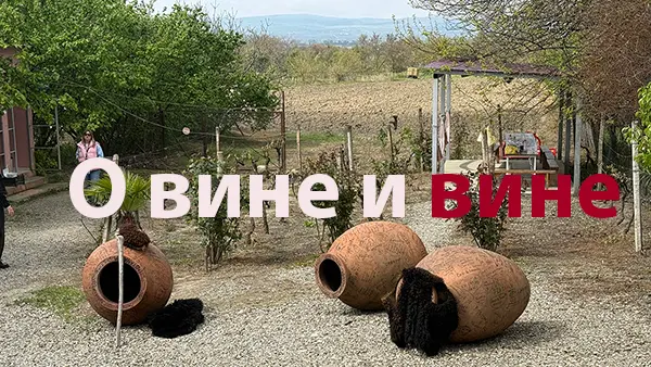 О вине и вине