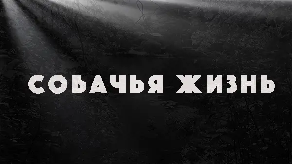 Собачья жизнь