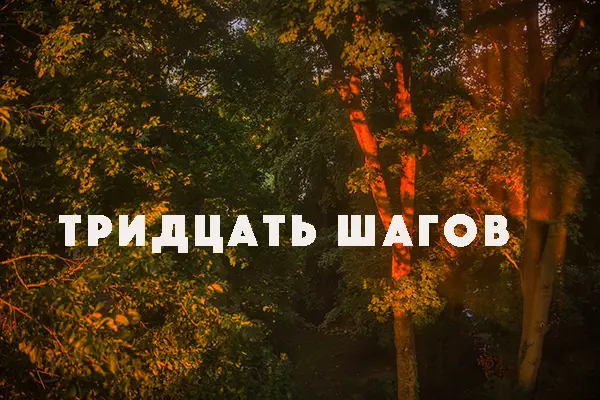 Тридцать шагов