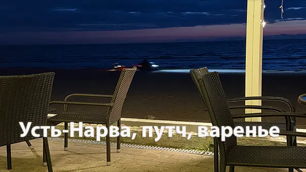 Усть-Нарва, путч, варенье
