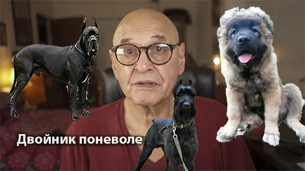 Двойник поневоле